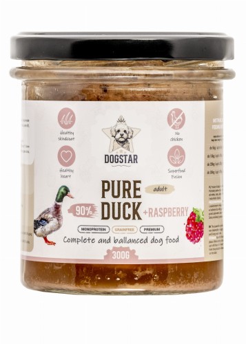 3_DUCK.jpg