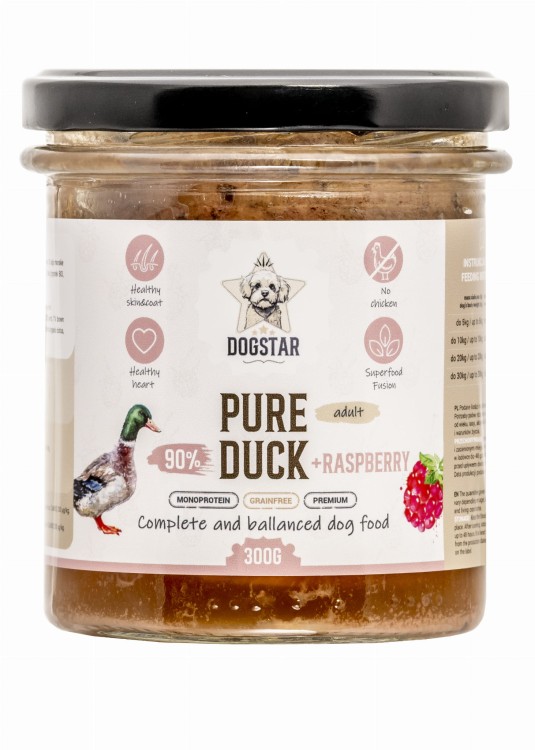 3_DUCK.jpg